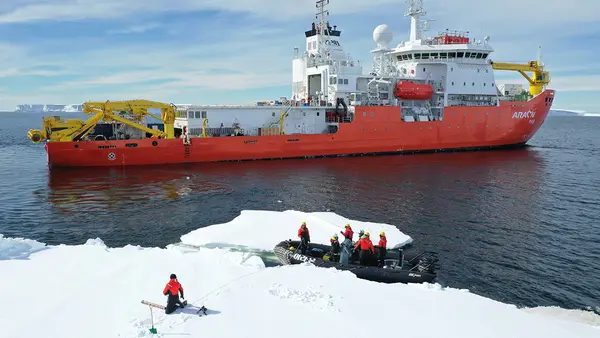 Researchers measuring sea ice from a floe beside a research icebreaker in the Southern Ocean, from Reliable AI Sea Ice Forecasts Depend on Sustained Observations.